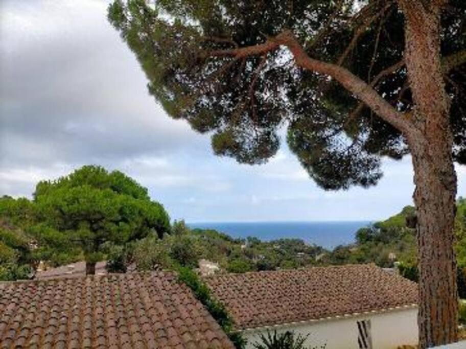 Lesal Villas Rentals, Villa Mar Azul, Tossa De Mar Dış mekan fotoğraf
