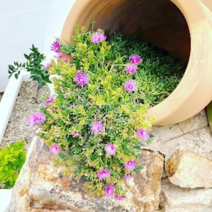 Lesal Villas Rentals, Villa Mar Azul, Tossa De Mar Dış mekan fotoğraf